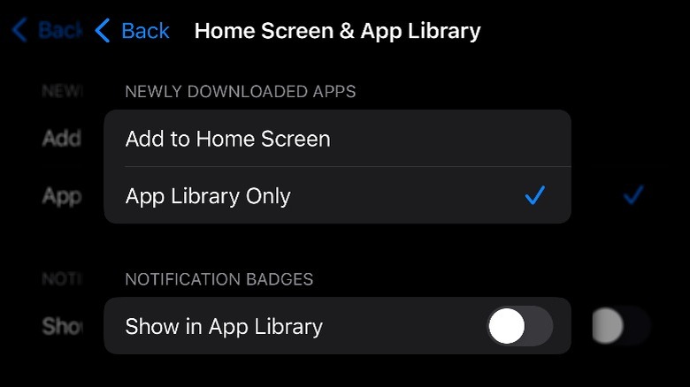 Home Screen & App Library settings on an iPhone