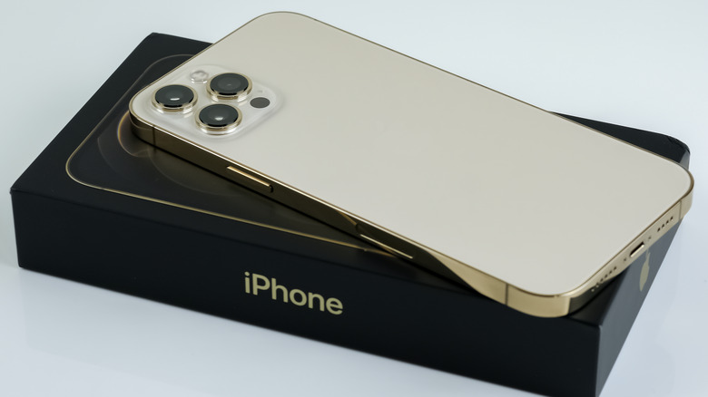 iPhone 13 Pro in gold trim
