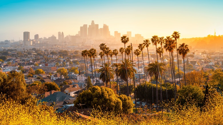 Los Angeles skyline at sunset