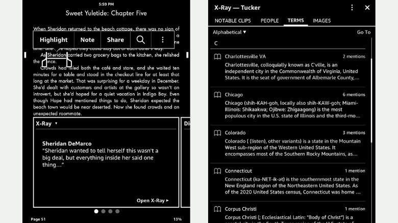 Kindle X-Ray popup and panel