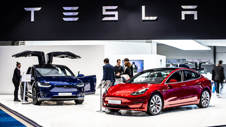 Tesla cars in showroom