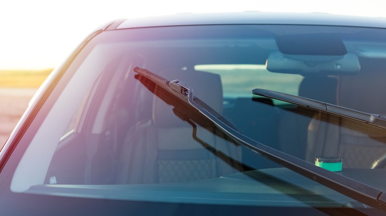 Car windshield brushes
