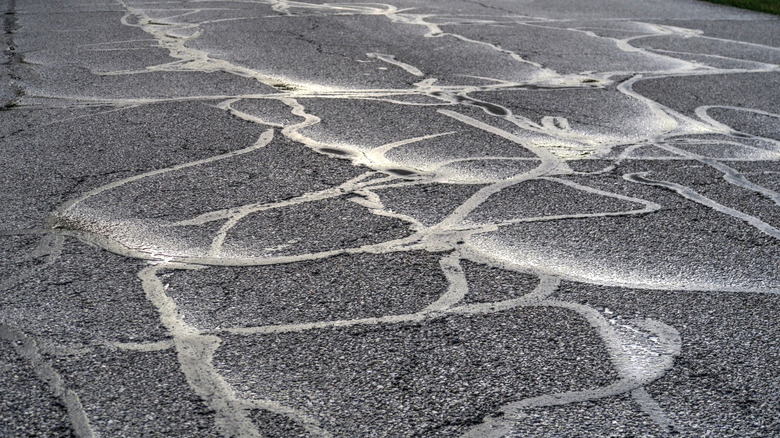 A road covered in tar snakes.