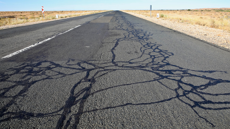 A road covered in tar snakes.