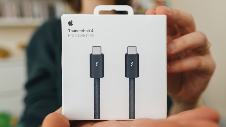 A person holding the retail box of an Apple Thunderbolt 4 Pro Cable