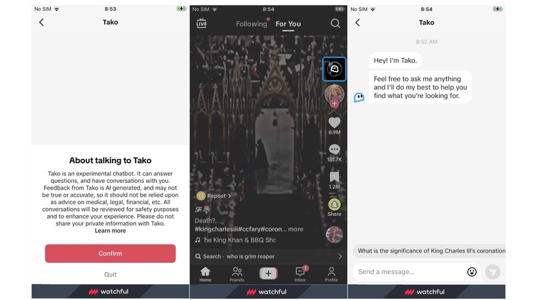 TikTok's Tako AI bot