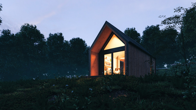 tiny home in the forest