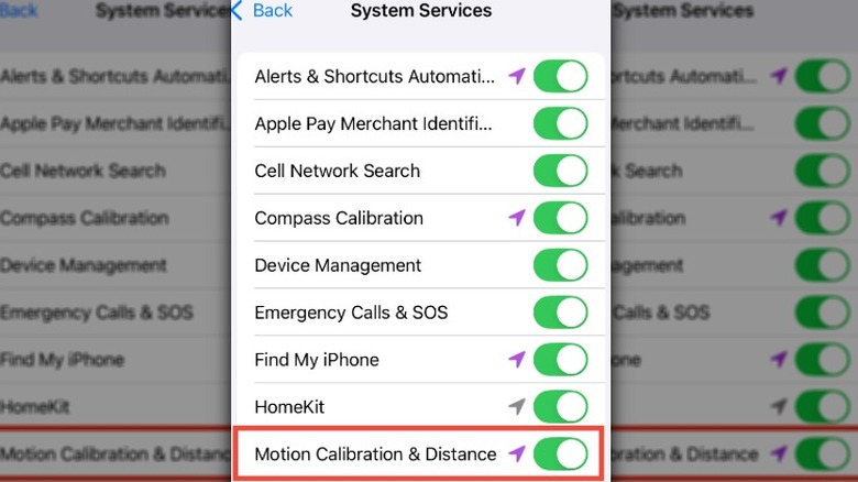 Motion Calibration & Distance setting in iPhone Settings