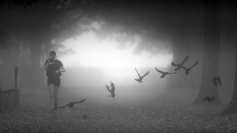 man running past birds fog