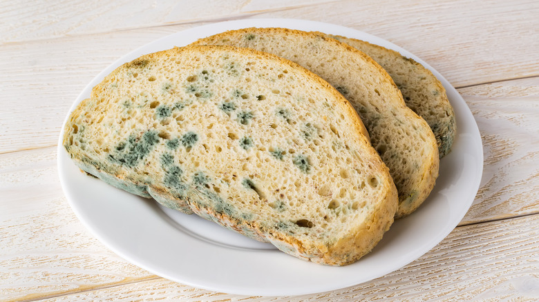 spoiled slice of bread with mildew