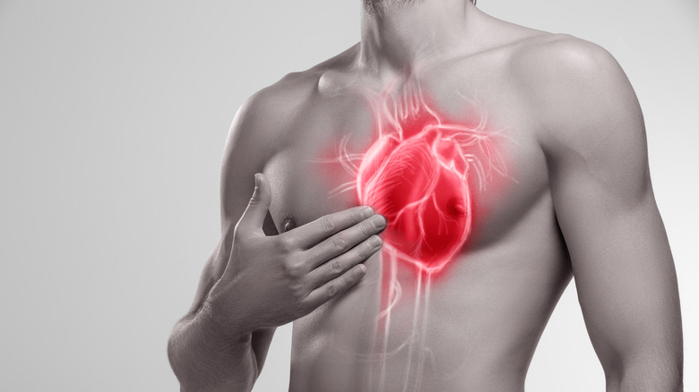 Image depicting human hart
