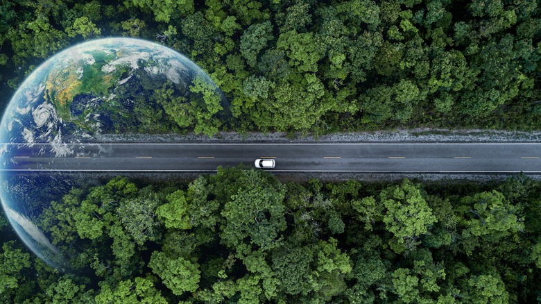 car driving on road through trees 