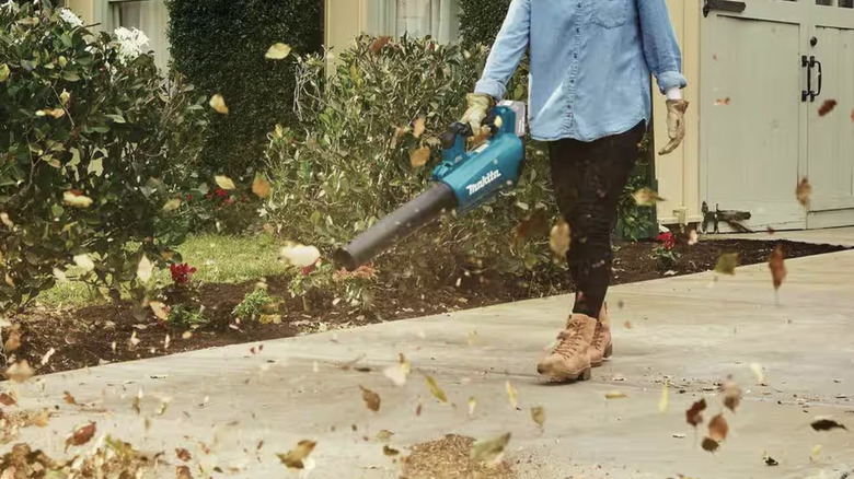 Leaf blower blowing leaves on sideway