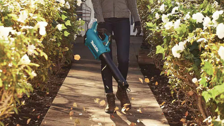 Person using a leaf blower on their sidewalk