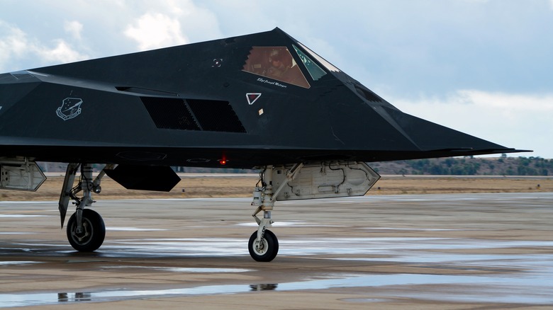 F-117 stealth fighter jet