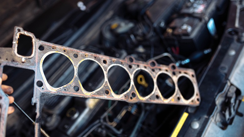 Car engine cylinder head gasket