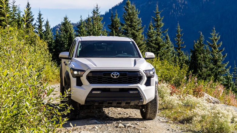 White Toyota Tacoma on woodsy trail