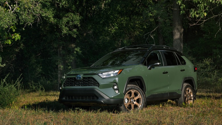 2024 RAV4 Hybrid Woodland Edition