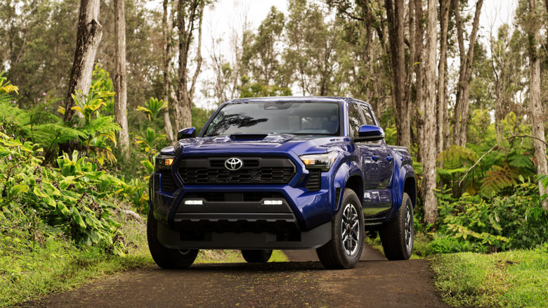 2025 Toyota Tacoma TRD Sport in the woods