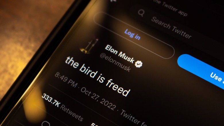 Elon Musk bird free tweet