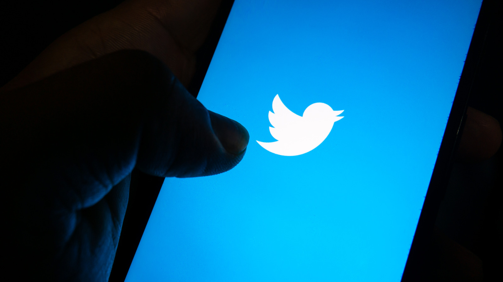 Twitter’s Latest Attempt To Get New Blue Subscribers Is An Insane Character Limit – SlashGear