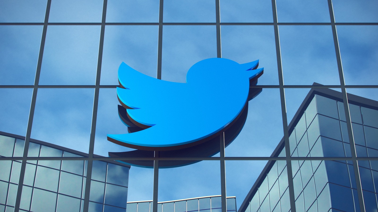 One More Twitter Exec Abruptly Exits As Musk Warns Of Bankruptcy Risk