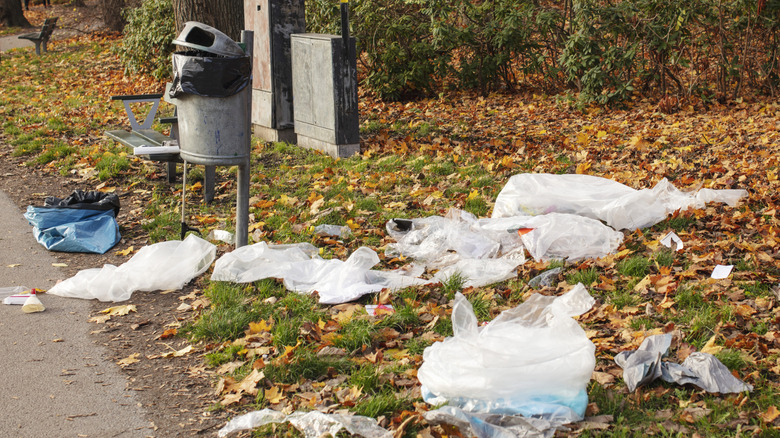 Discarded plastic bags littering a park