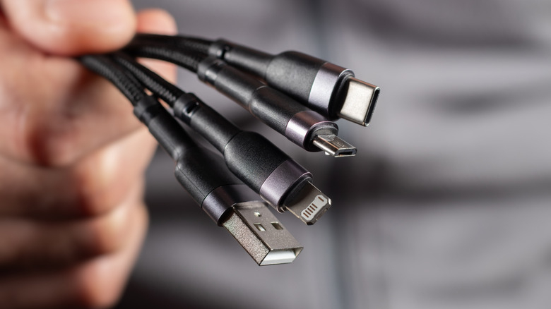 Person holding different types of USB cables