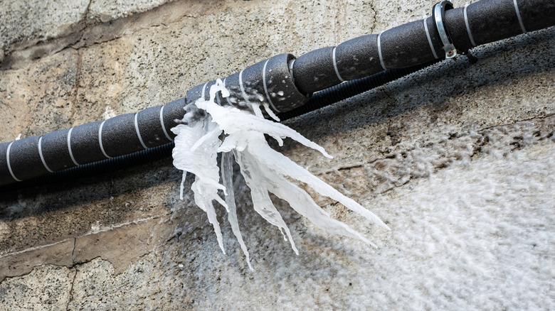 A frozen pipe, covered in black insulation, but with ice bursting out anyway.