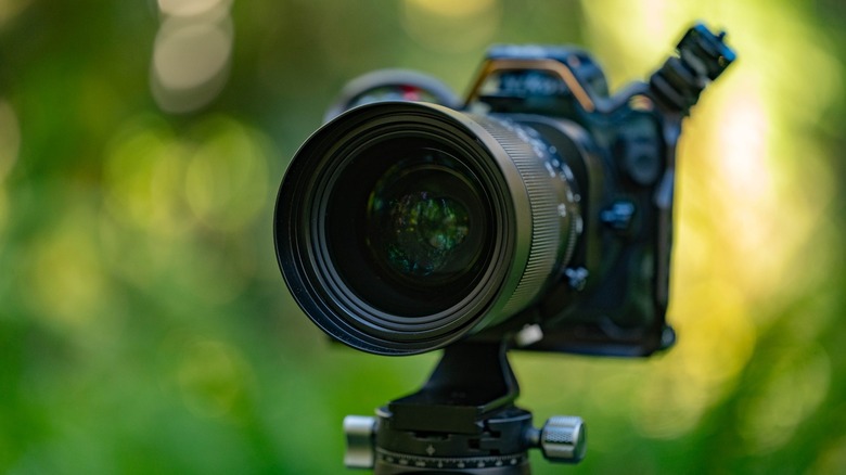 Venus Optics Laowa 55mm f/2.8 Tilt-shift 1X Macro Lens looking at the lens element.