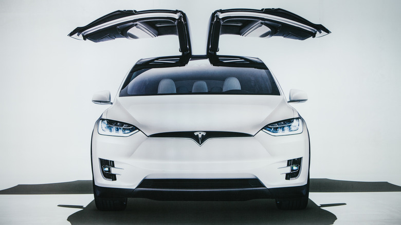 Tesla Model X gullwing doors centered