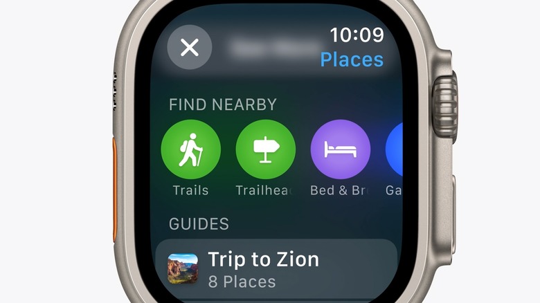 Apple watch search