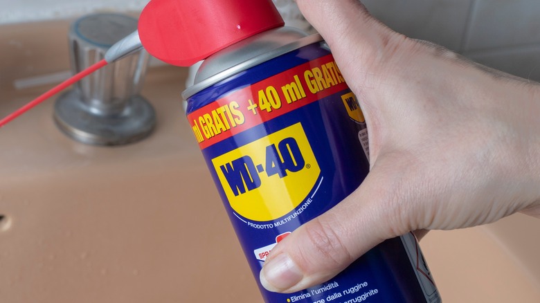 Hand holding WD-40