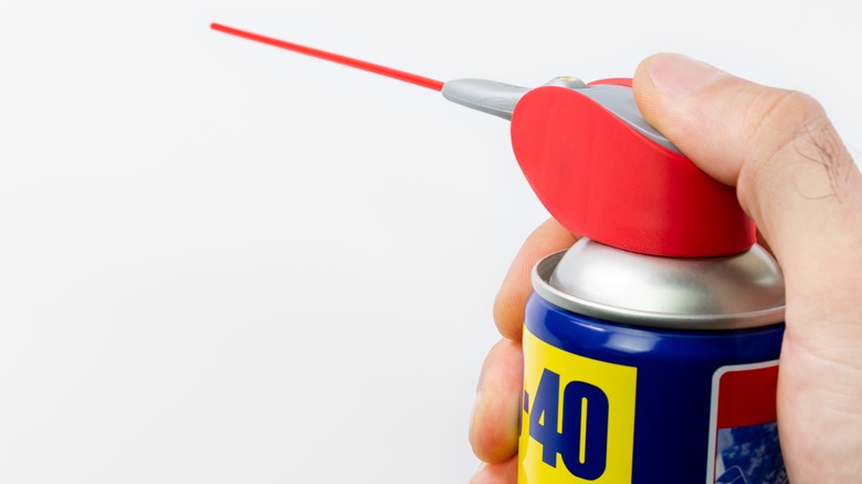 hand holding can of WD-40 with attached extended nozzle