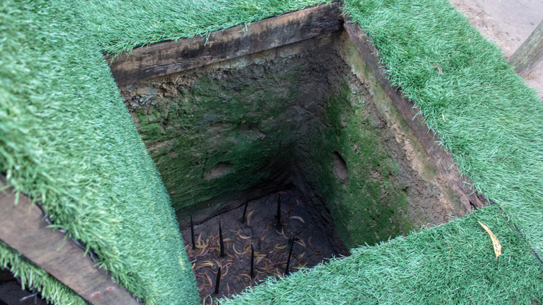 A punji stick or spike pit trap