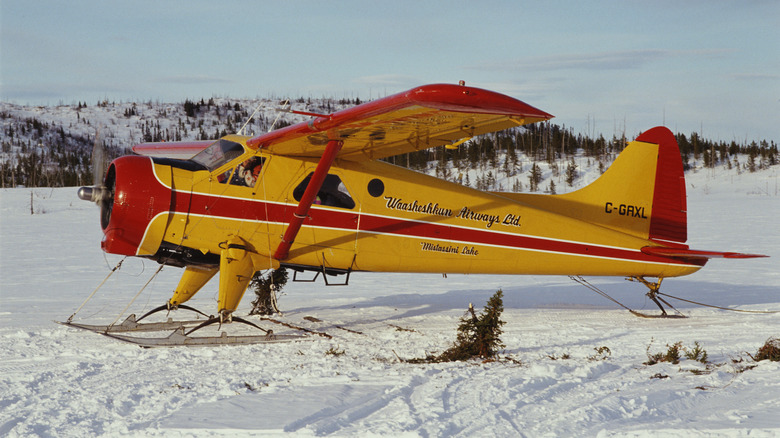 Bush plane parked in snow