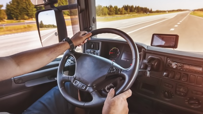 Person's hands on steering wheel