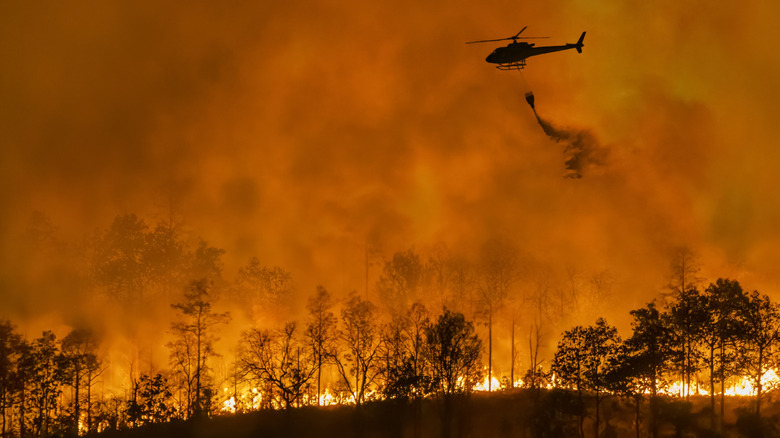 A firefighting helicopter dousing an inferno