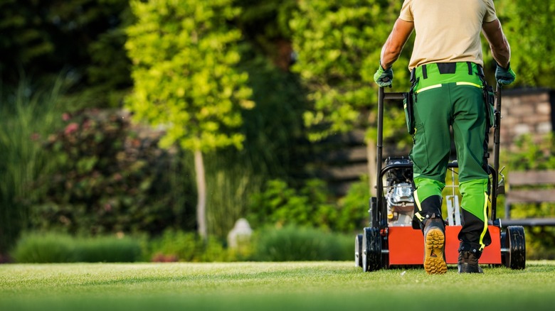 Mowing grass with a push mower