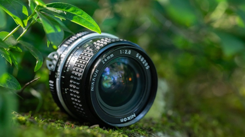 Nikkor 24mm f/2.8 lens amongst leaves and moss.