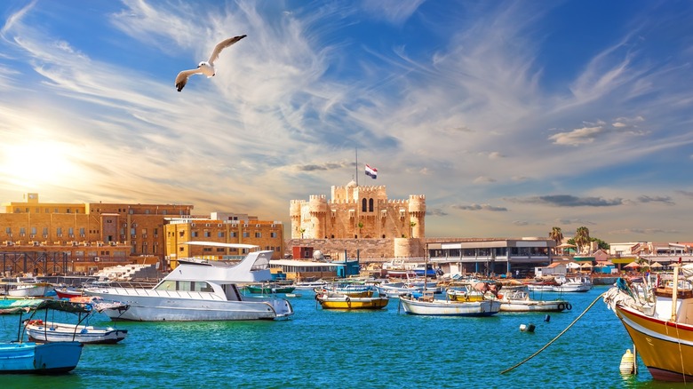 boats in a harbor