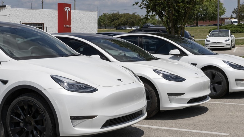 White Tesla electric vehicles parked at a dealership.