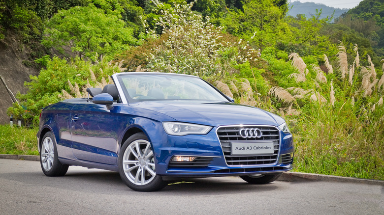 2015 Audi A3 Convertible model in front of greenery