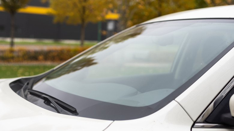 close-up car windshield