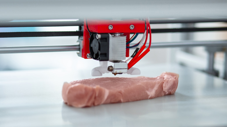 3D printer printing a model of a piece of meat