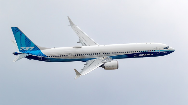 Boeing 737 MAX in the sky