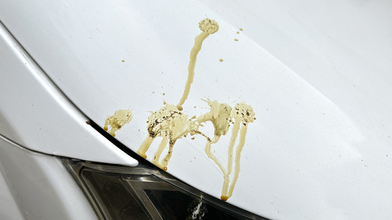 yellow stains on white car