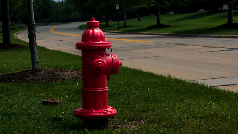 A red fire hydrant ar the side of a road.