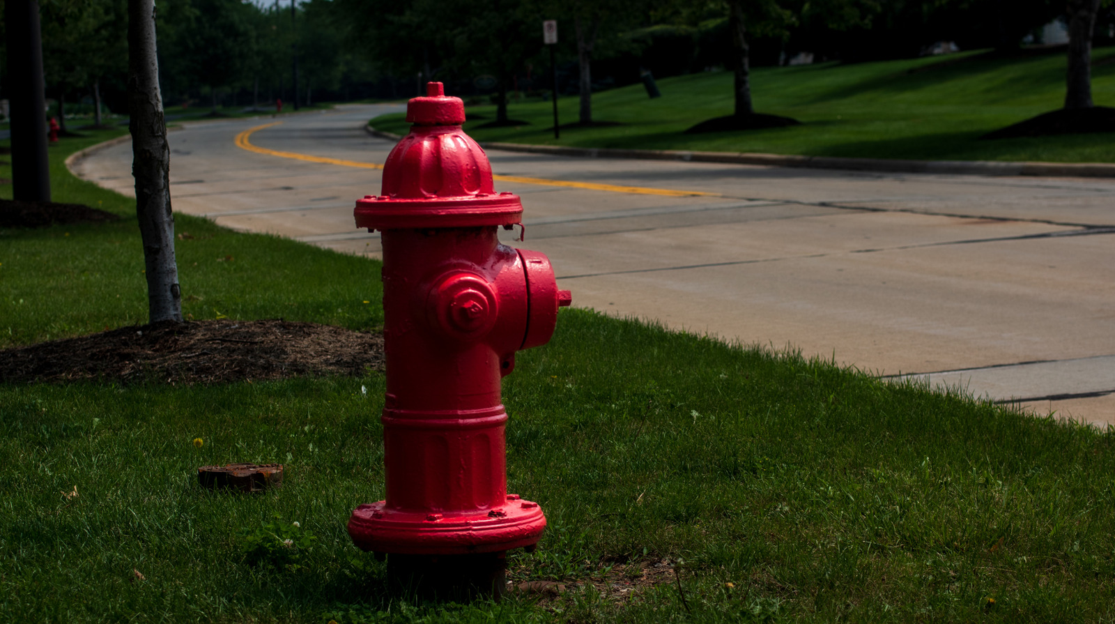 What Do Fire Hydrant Colors Mean?