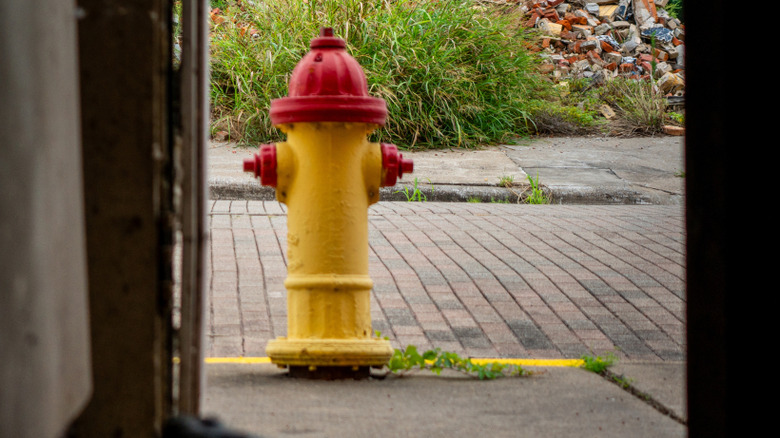 A yellow fire hydrant with red caps.